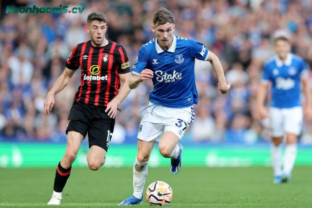 Đội hình dự kiến trước trận Bournemouth vs Everton Đội hình dự kiến trước trận Bournemouth vs Everton