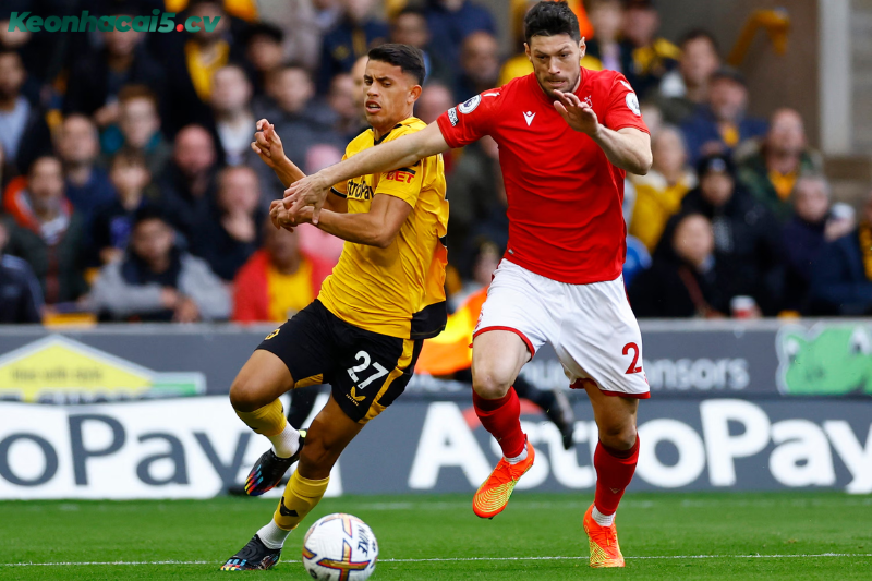 Đội hình dự kiến trước trận Wolves vs Nottingham Đội hình dự kiến trước trận Wolves vs Nottingham