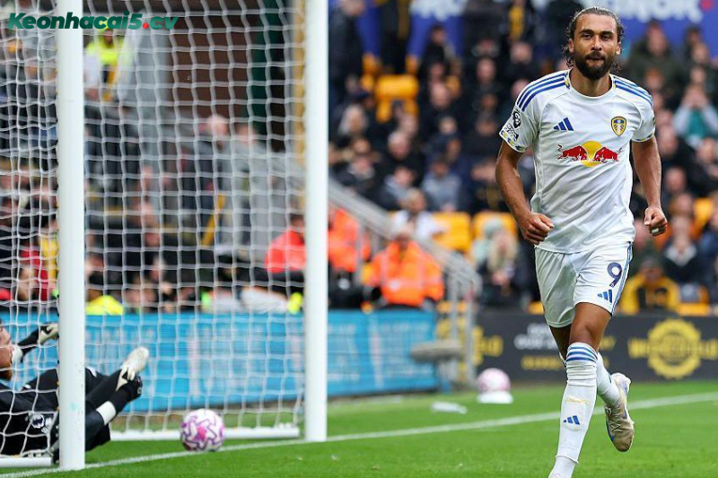 Đội hình dự kiến trước trận Leeds vs Crystal Palace Đội hình dự kiến trước trận Leeds vs Crystal Palace