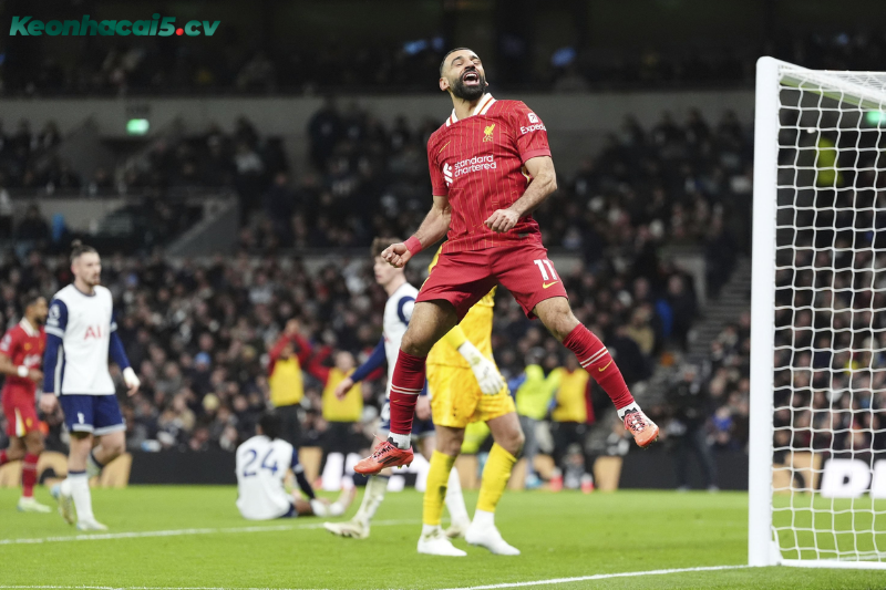 Đội hình dự kiến trước trận Tottenham vs Liverpool Đội hình dự kiến trước trận Tottenham vs Liverpool