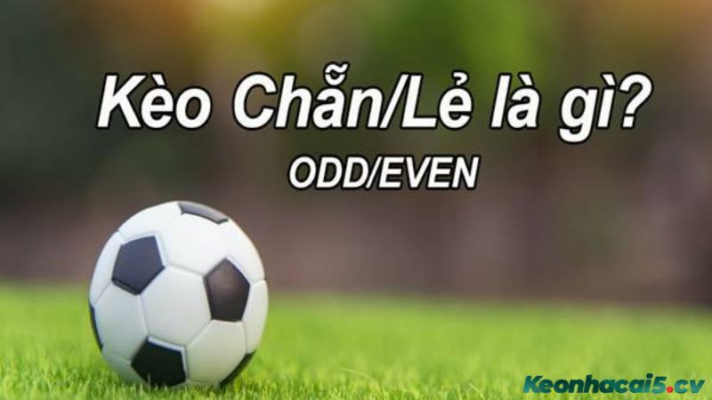 Kèo chẵn lẻ đặc biệt phổ biến trong cá cược bóng đá Kèo chẵn lẻ đặc biệt phổ biến trong cá cược bóng đá