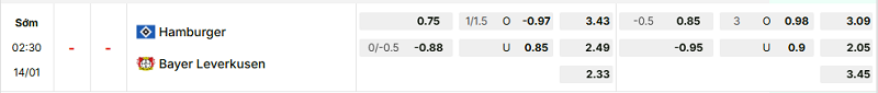Bảng kèo mới nhất trận Hamburger SV vs Bayer Leverkusen