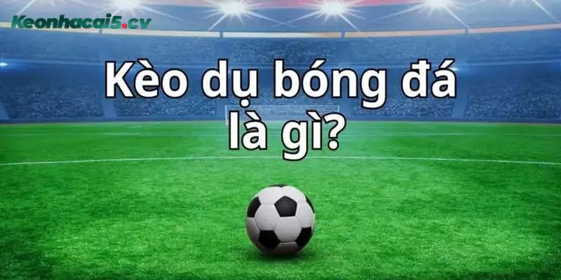 Tìm hiểu kèo dụ là gì? Tìm hiểu kèo dụ là gì?